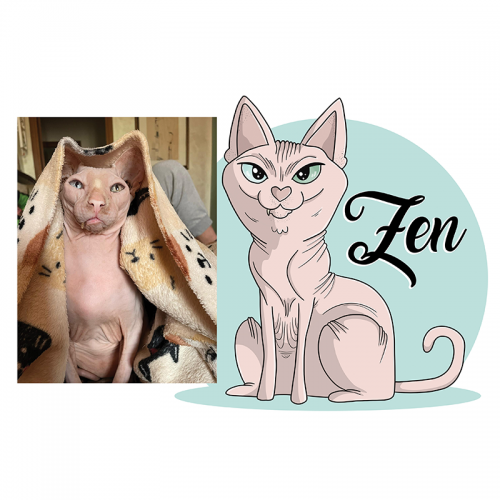 Ilustrazioni personalizzate cane/gatto/altro