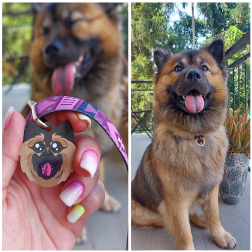 Medaglietta Personalizzata per Cani – Sagomata con il...