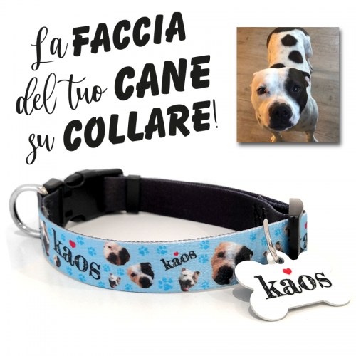 La faccia del tuo cane su collare